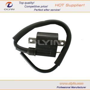 Motorcycle/Motorbike Electric Ignition Coil for Motors Parts