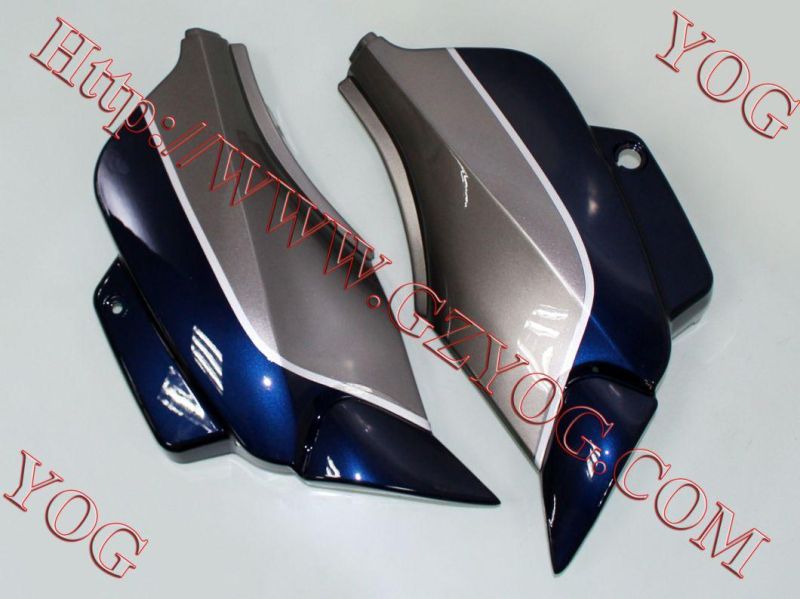 Motorcycle Spare Parts Oil Tank Fuel Tank Side Cover for Skr 200