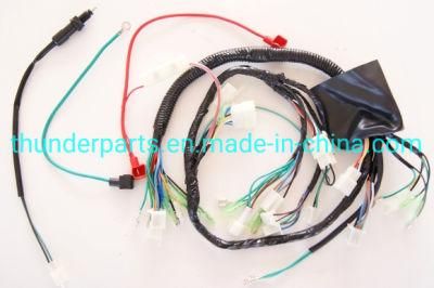Motorcycle Wire Harness/Ramal Completo Instalacion Sistema Electrico Skr200