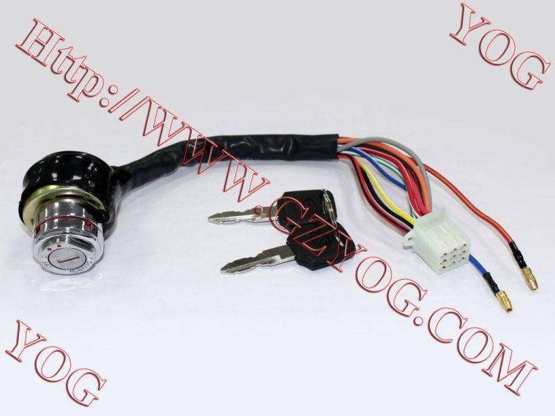 Yog Motorcycle Spare Parts Ignition Switch for CG125/ZJ100, YBR125, CGL125