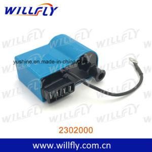 Motorcycle Parts Ignition Coil for Aprilia, Benelli