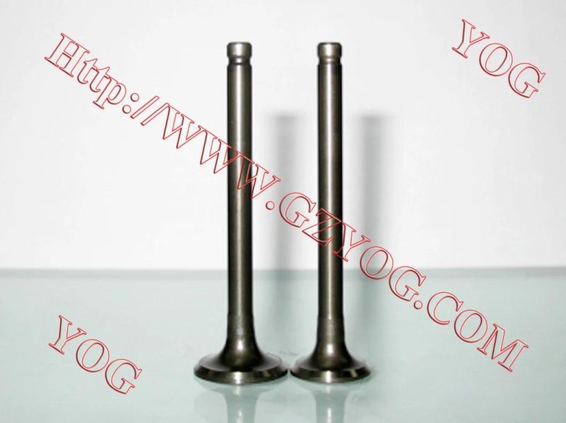 Yog Motorcycle Spare Parts Engine Parts Valve for Bajajbm100esks Titan150 C125