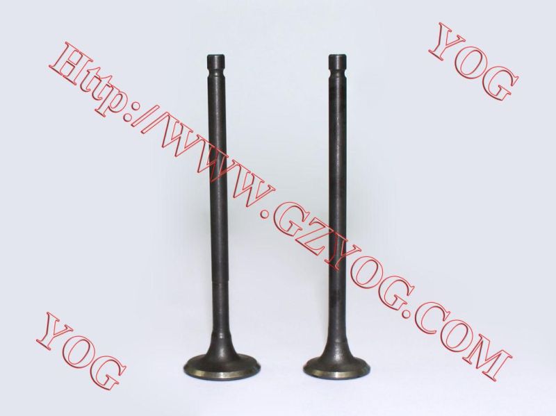 Motorcycle Spare Parts Aluminum Alloy Valve Set Ybr125 Fz16