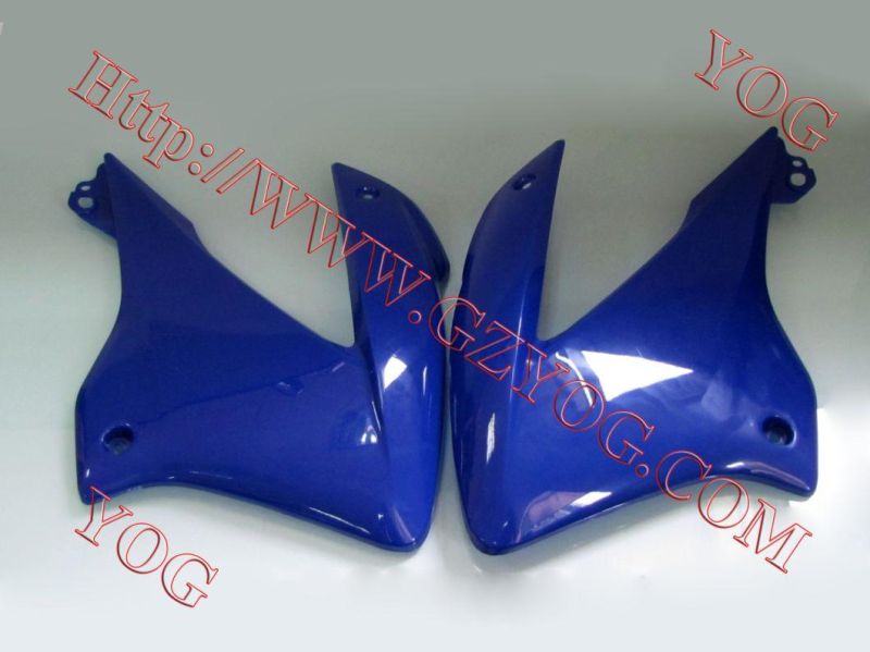 Motorcycle Spare Parts Oil Tank Fuel Tank Side Cover for Shineray 200/Skr200