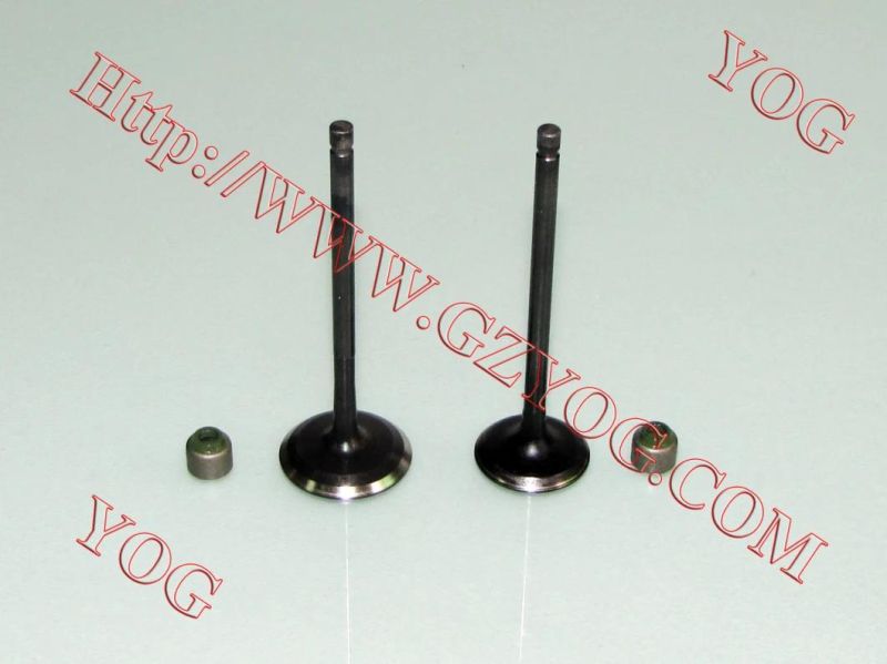 Yog Motorcycle Spare Parts Valve and Oil Seal for Tvs Star Bajaj Bm100esks An125