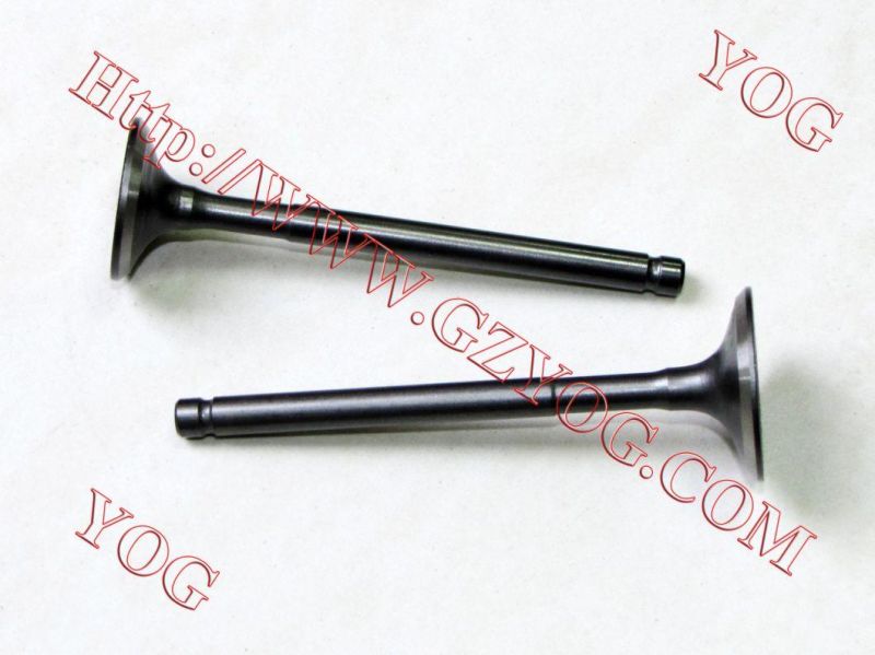 Motorcycle Engine Valve Kit Valvulas GS125 En125 Cg125
