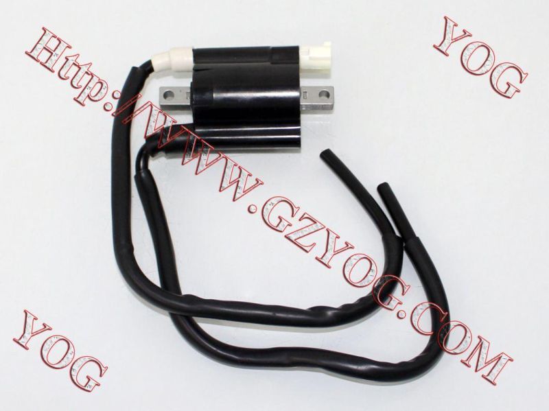 Motorcycle Spare Parts Motorcycle Electric Ignition Coil Gn125 GS125 Gy6125