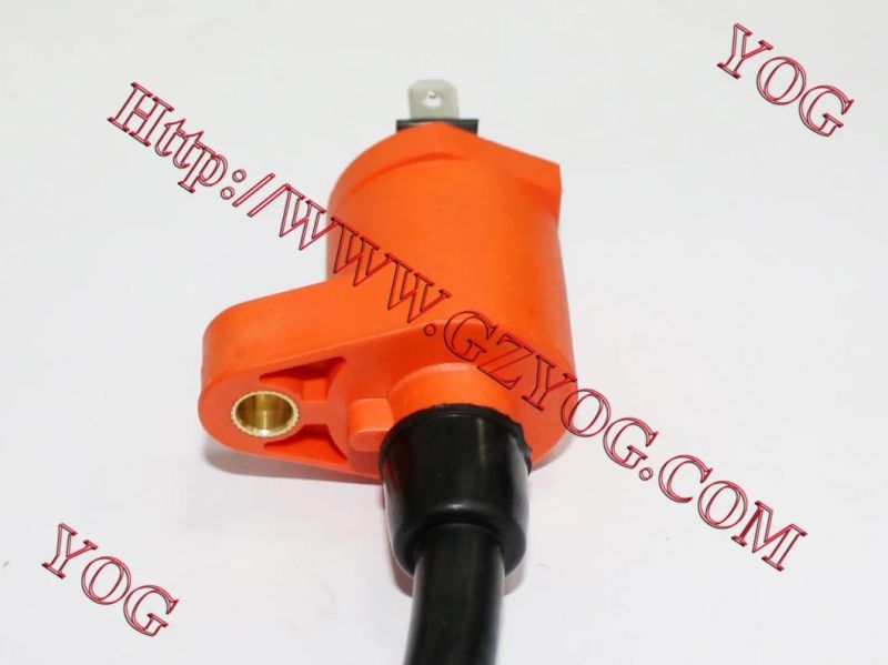 Motorcycle Parts Ignition Coil Gy6-125/Cg125