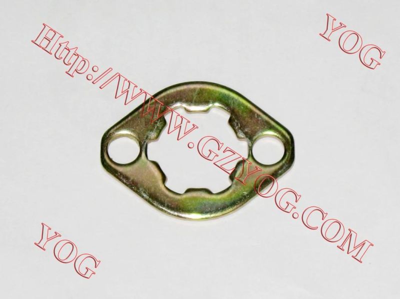 Yog Motorcycle Parts Fixing Plate Front Sprocket for Honda Suzuki Bajaj