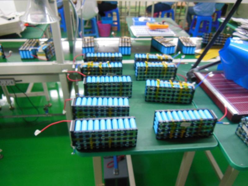 18650 Cell Lithium 36V 9ah Li-ion Battery Pack for E-Bike
