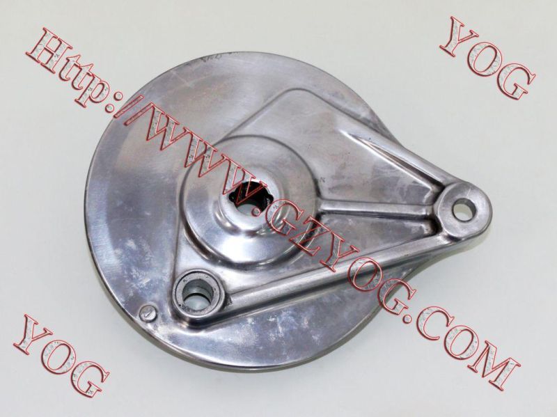 Motorcycle Spare Parts Motorcycle Rear Brake Panel At100 Bajajct100 Cgl125
