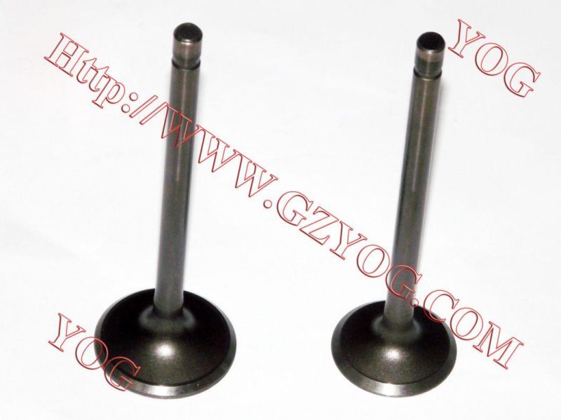 Yog Motorcycle Spare Parts Valve for Bajaj Bm100esks Bm150 Boxer Cg125
