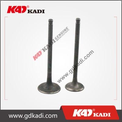 Motorcycle Spare Parts Scooter Parts Engine Valve Assy
