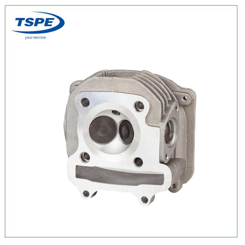 Motorcycle Engine Parts Cylinder Head for Ws175/Gts175