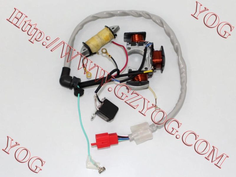 Motorcycle Stator Comp Magnet Coil Estaror Bm150 Cg125 CB110