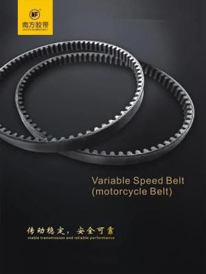 Variable Speed Belt for Motorcycle/Scooter