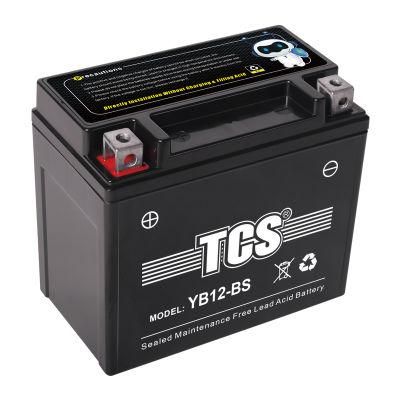 TCS Sealed Maintenance Free Motorcycle Battery YB12-BS