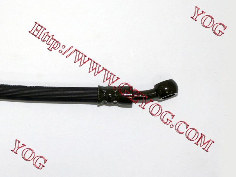 Motorcycle Spare Part Motorcycle Brake Oil Pipe Brake Hose 550 750 780