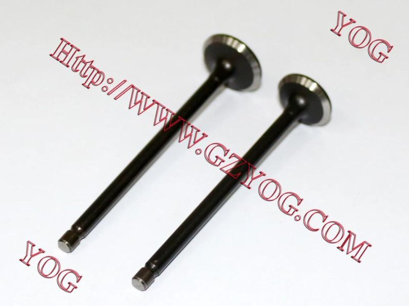 Yog Motorcycle Spare Parts Engine Parts Valve for Bajajbm100esks Titan150 C125