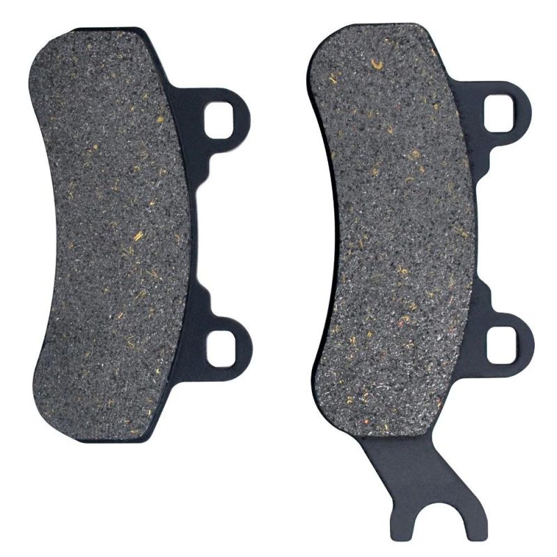Motorcycle Parts Brake Pads for Can-Am Dps Xt 799cc 976cc