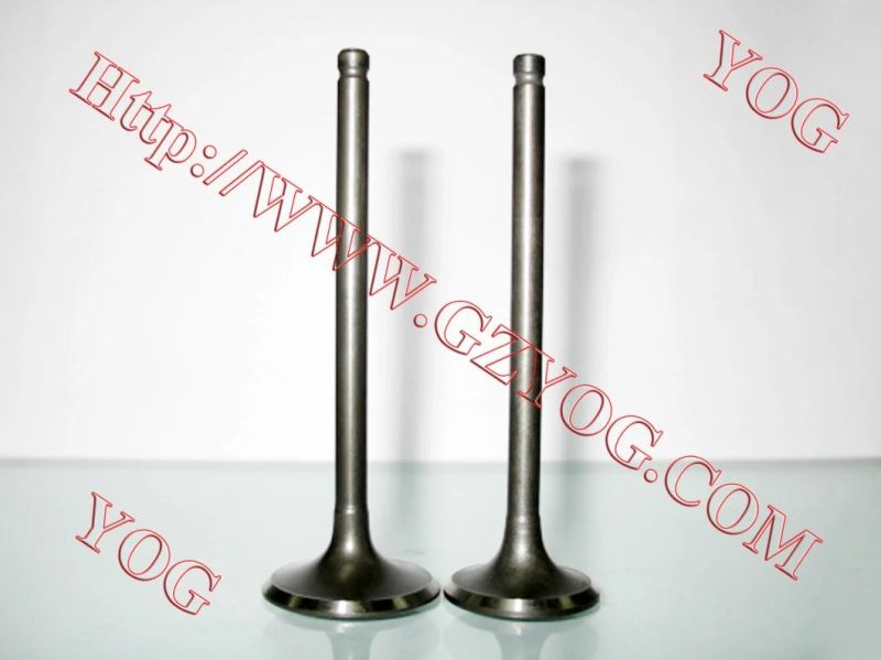 Yog Motorcycle Spare Parts Engine Parts Valve for Bajajbm100esks Titan150 C125