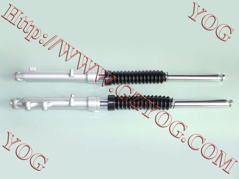 Motorcycle Spare Parts Front Shock Absorber for Skr200ds Ds150ds Jh125lgs