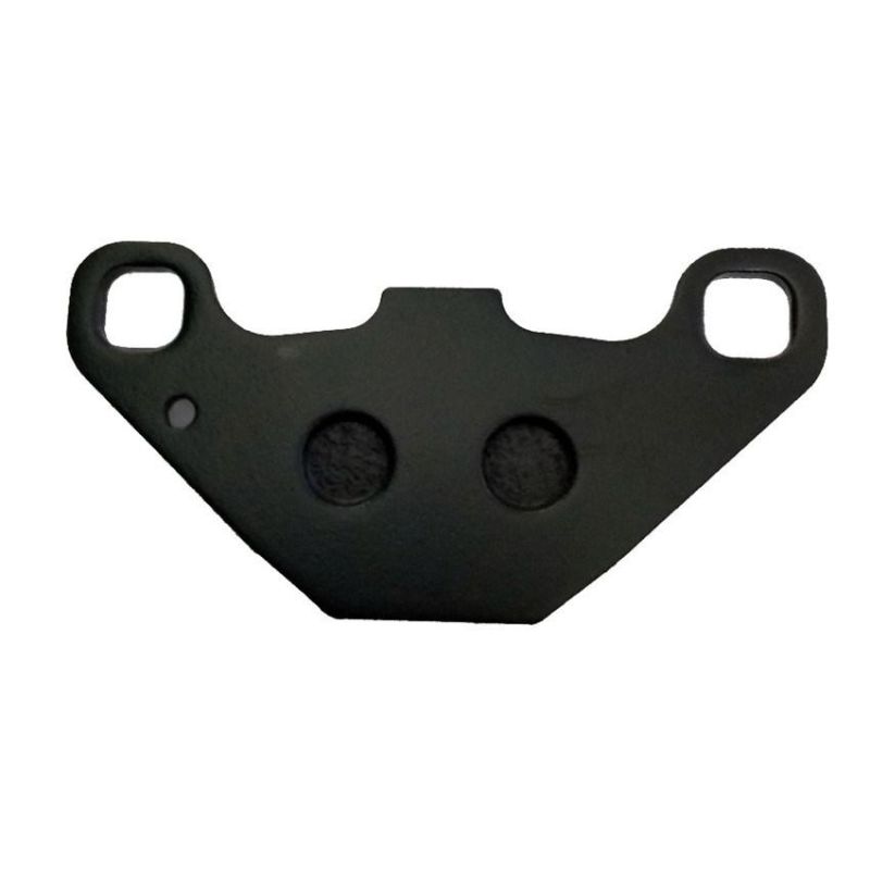 Popular Motorcycle Spare Parts Front and Rear Disc Brake Pads