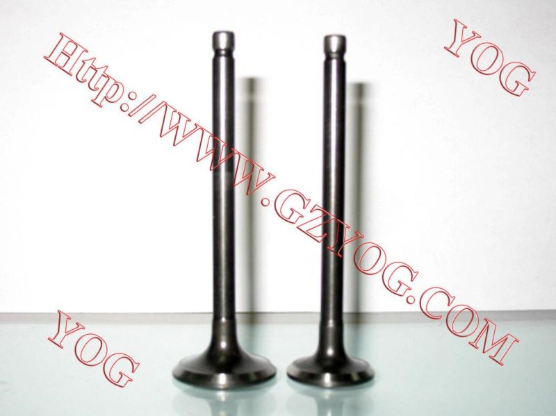 Yog Motorcycle Spare Parts Valve for C125 Titan02 Ugboss125