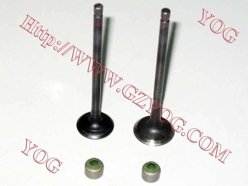 Motorcycle Engine Valve Kit Valvulas CB250 CB110 Wy125