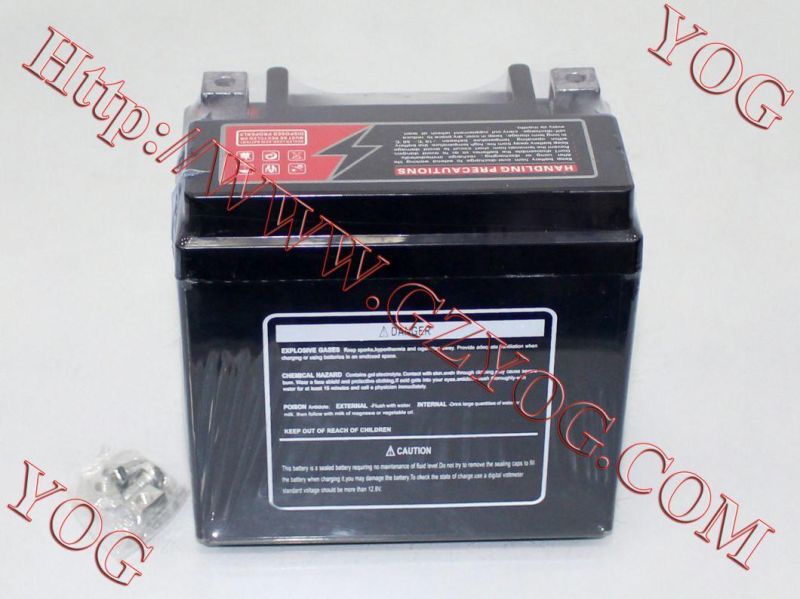 Yog Motorcycle Parts Motorcycle Battery for Yb6.5L-BS Cg125 (Maintenance Free)