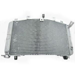 Frdsu012 Motorcycle Parts Aluminum Radiator for Gsxr1300 Hayabusa 99-07