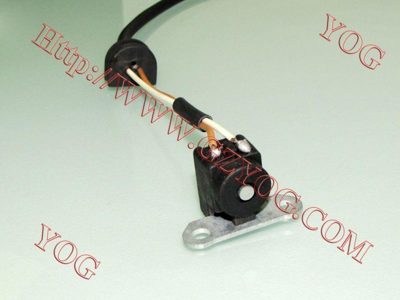 Motorcycle Spare Parts Motorcycle Pulser Coil Bajaj Boxer Tvs Star Hlx125 Cg125