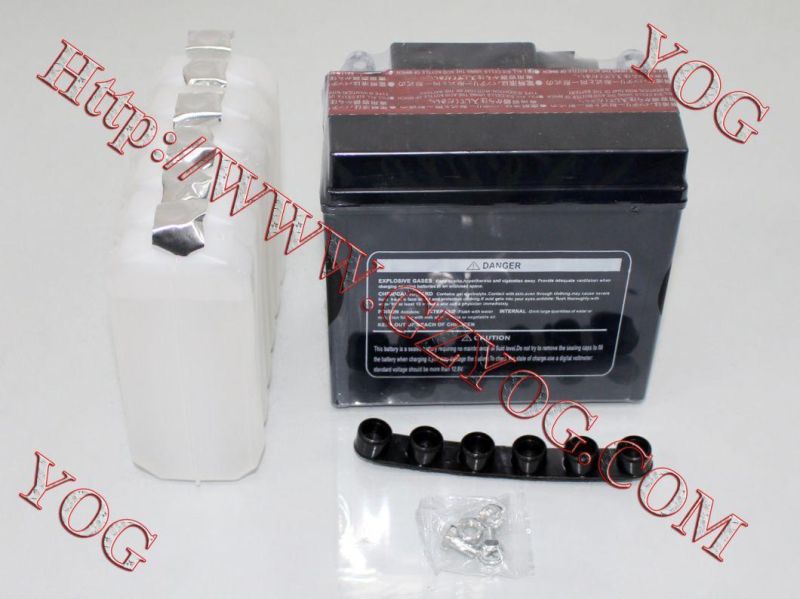 Yog Motorcycle Parts Motorcycle Battery for Yb6.5L-BS Cg125 (Maintenance Free)