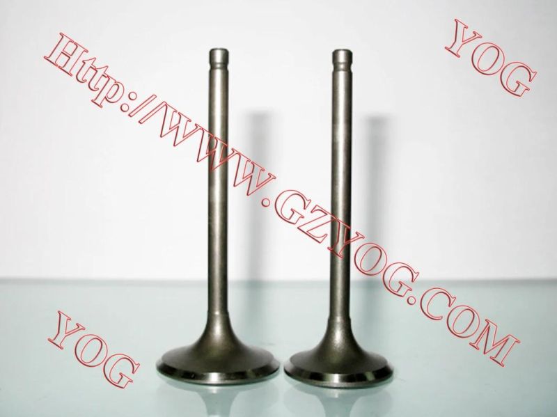 Motorcycle Spare Parts Engine Part Valve for Bajajpulsar135 Ugboss125 Shogun