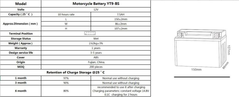 Lead Acid Motorcycle Sealed Maintenance Free TCS YT9-BS