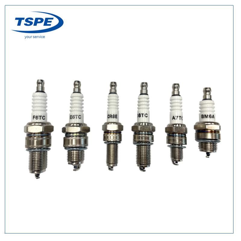 OEM Motorcycle Spare Parts Spark Plug A7tc D8tc E6tc Cr8e Bm6a F6tc