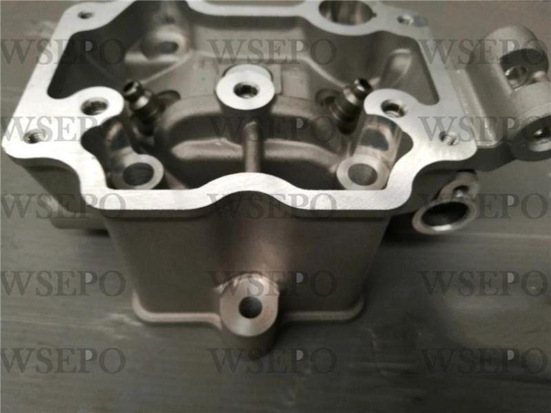 Cg200 Water Cool Cylinder Head Fits for Zongshen Loncin Lifan Xingyuan Yinxiang 200cc Type Motorcycle