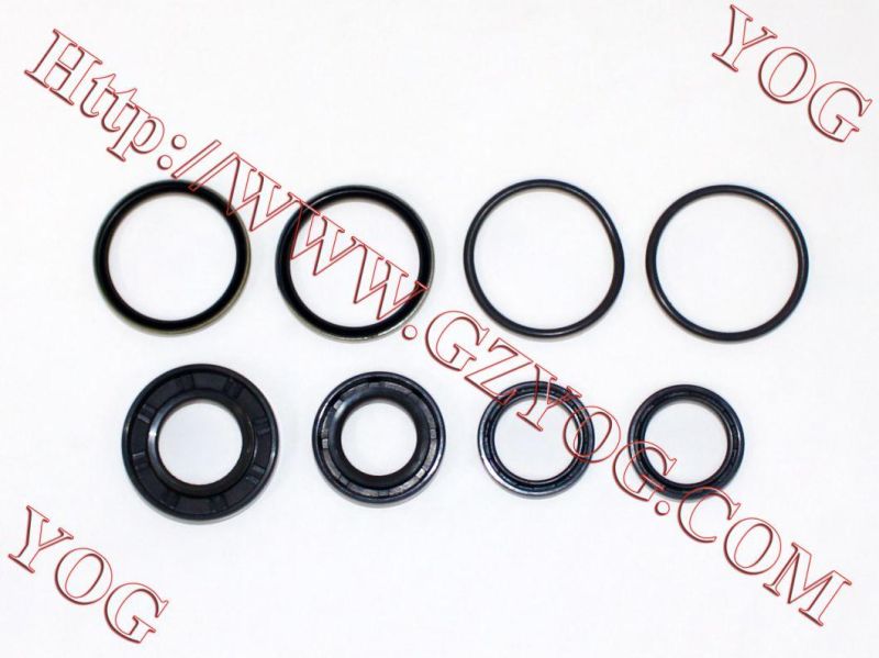 Motorcycle Engine Oil Seal Kit Dy100 Bm100 Cbf150