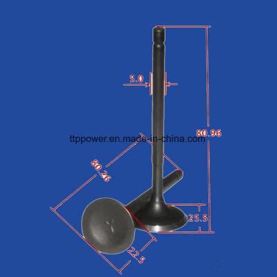 Motorcycle Engine Parts Motorcycle Valve Inlet/Exhaust Set for An125
