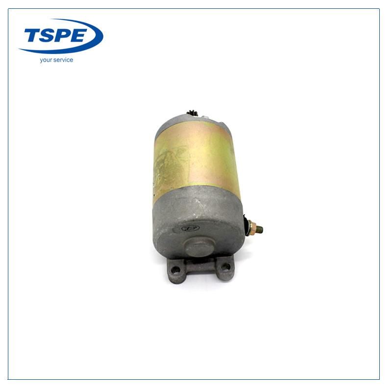 High Quality Electric Starting Motorcycle Parts Honda-250 Starter Motor