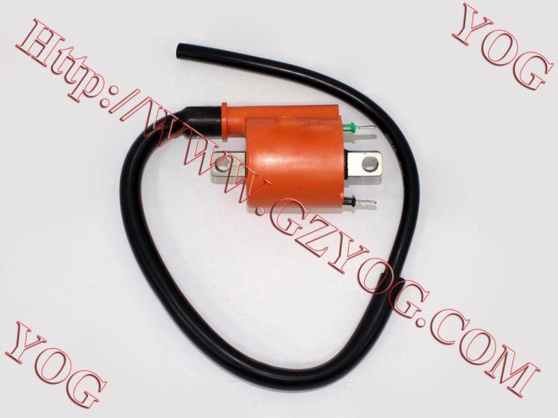 Yog Motorcycle Parts Motorcycle Ignition Coil for Yb100