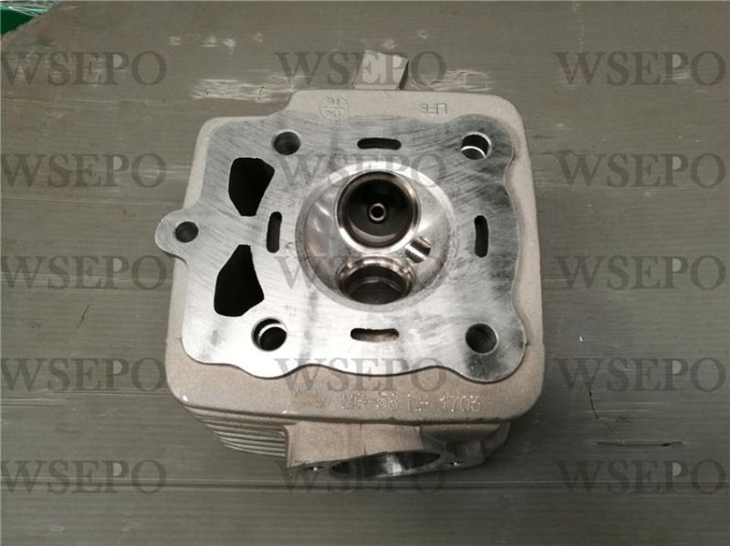 Cg250 Dual Cool Cylinder Head Fits for Zongshen Loncin Lifan Xingyuan Yinxiang 250cc Type Motorcycle