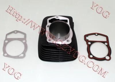 Motorcycle Parts Cylinder Kit Block Kit for Fz250