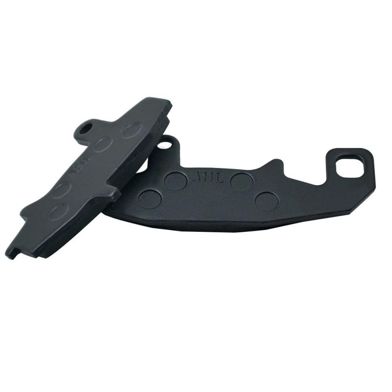 Fa147 Motorcycle Spare Parts Brake Pad for Suzuki Dr650 Dr750