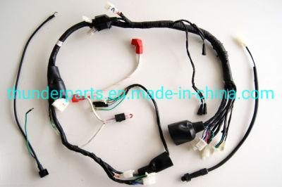 Motorcycle Wire Harness/Ramal Completo Instalacion Sistema Electrico Shineray Xy200 Gy6, Dt125/175/200, Jog50, Rx115/135