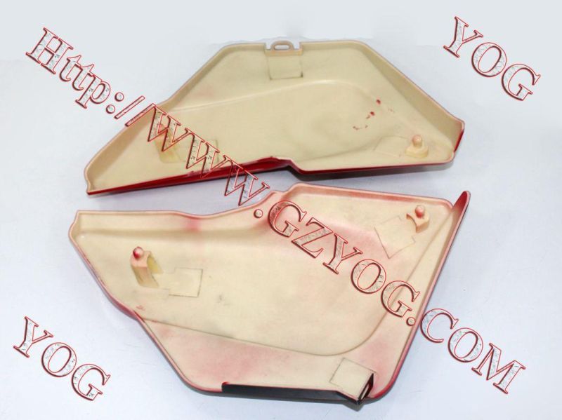 Motorcycle Spare Parts Oil Tank Fuel Tank Side Cover for Skr 200