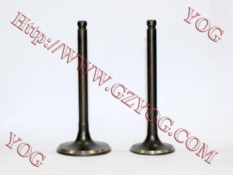 Yog Motorcycle Spare Parts Valve for Bajaj Bm100esks Bm150 Boxer Cg125