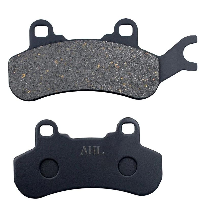 Motorcycle Parts Brake Pads for Can-Am Dps Xt 799cc 976cc
