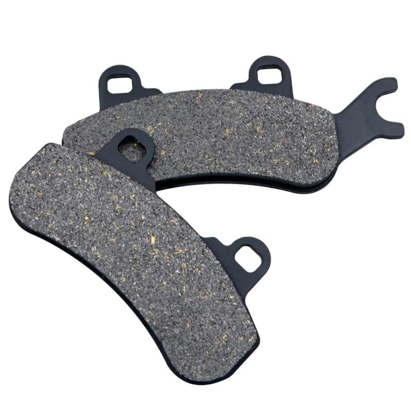 Motorcycle Parts Brake Pads for Can-Am Dps Xt 799cc 976cc