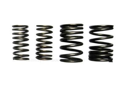 Ww-8221 Motorcycle Parts Compression Spring for Gy6-125